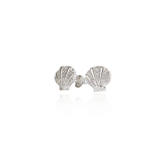 Seashell Studs (Patient)