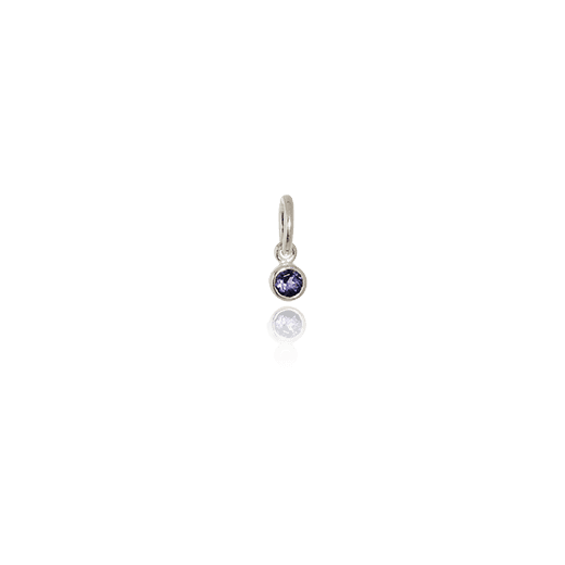 September Pendant Charm (Iolite)