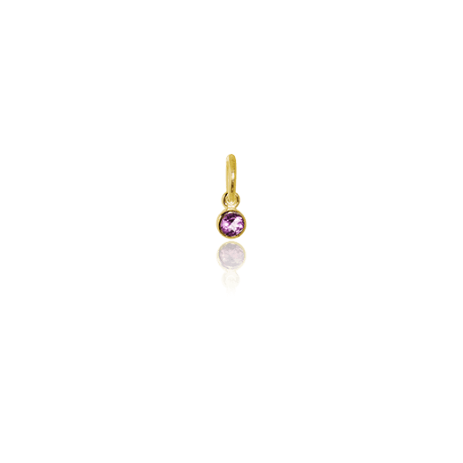 February Pendant Charm (Amethyst) - Gold