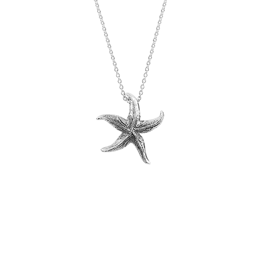 Coastal Starfish Necklace (Love)